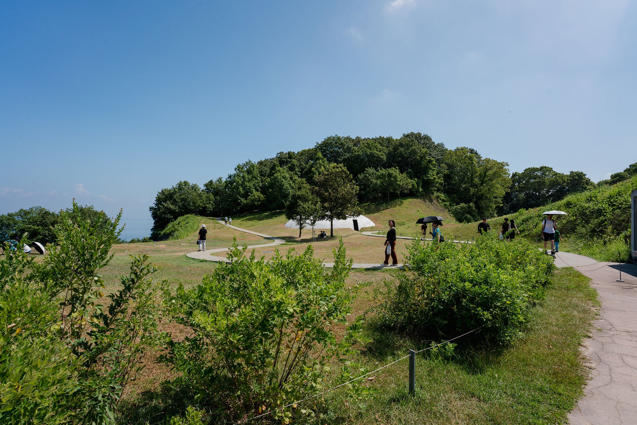 _DSC3691.jpg